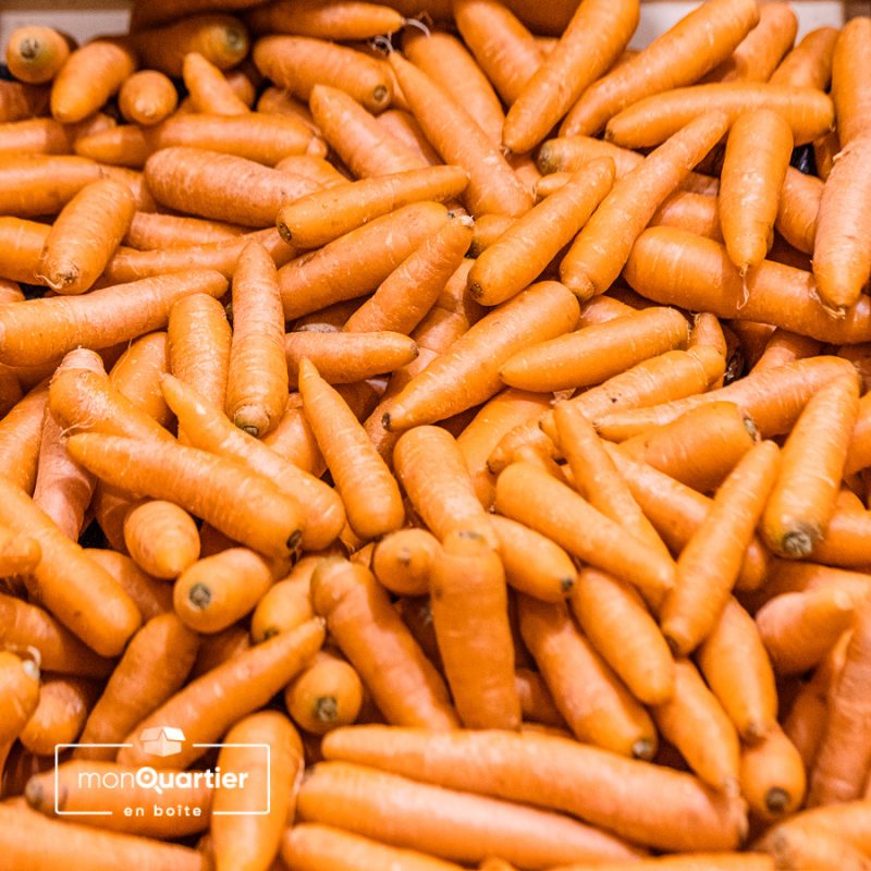carottes-nantaises