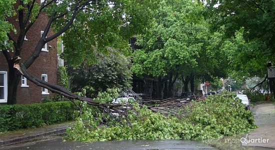 Limoilou. Les dégâts de l'orage du 10 juin 2008.