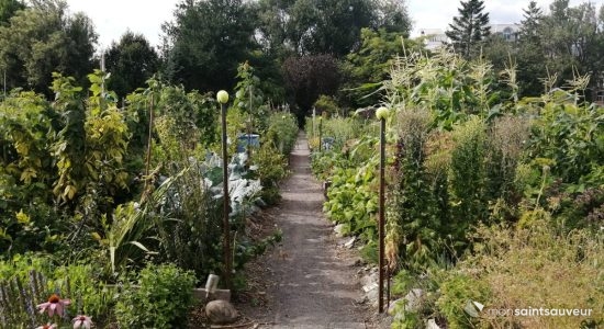 Jardin Le Tourne-Sol : 40 ans de communauté et de bio - Elizabeth Jean-Allard