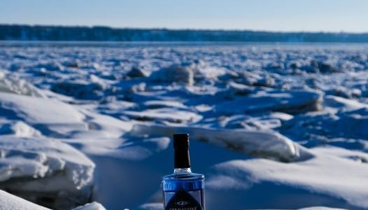 Gin bleu Stadaconé, médaille d’or au Canadian Artisan Spirit Competition 2020